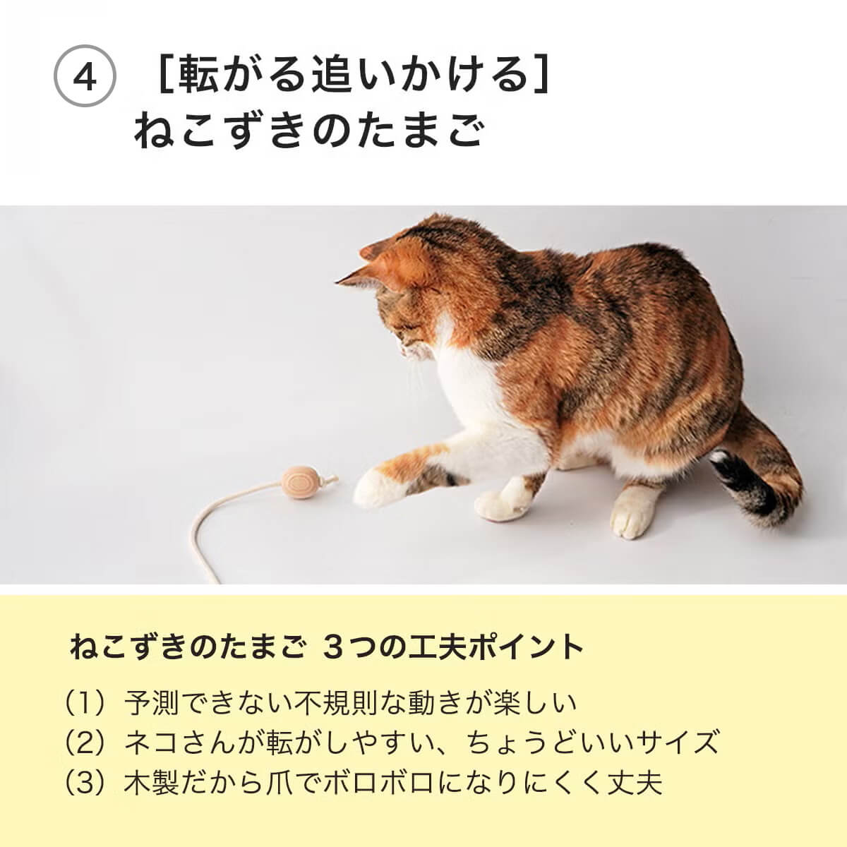 転がる追いかける・ねこずきころころ