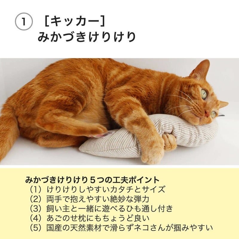 キッカー・ねこずきけりけり