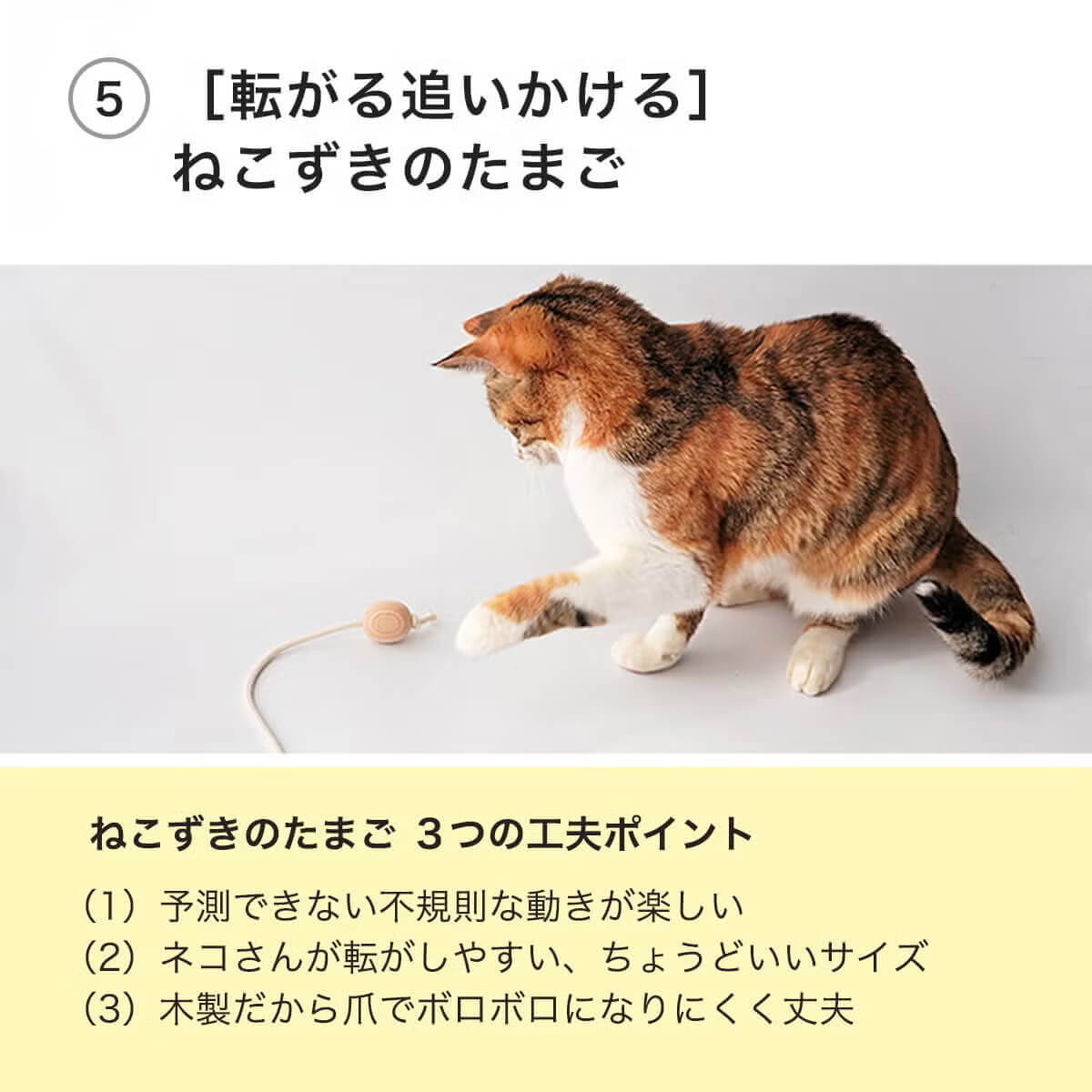 転がる追いかける・ねこずきころころ