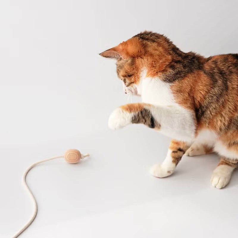 ネコが喜ぶおもちゃセット。ねこずきけりけり付おもちゃ5点セット