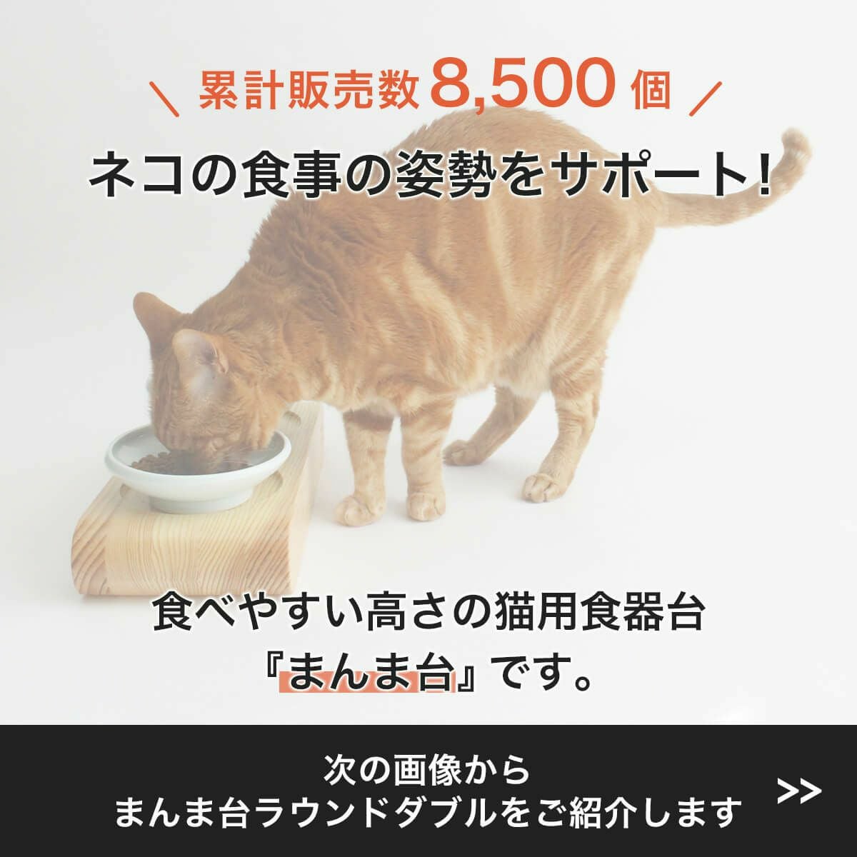 猫ギフトや多頭飼いにお薦め。食器台名入れ -nekozuki 猫ギフトや多頭飼いにお薦め。食器台名入れ -nekozuki