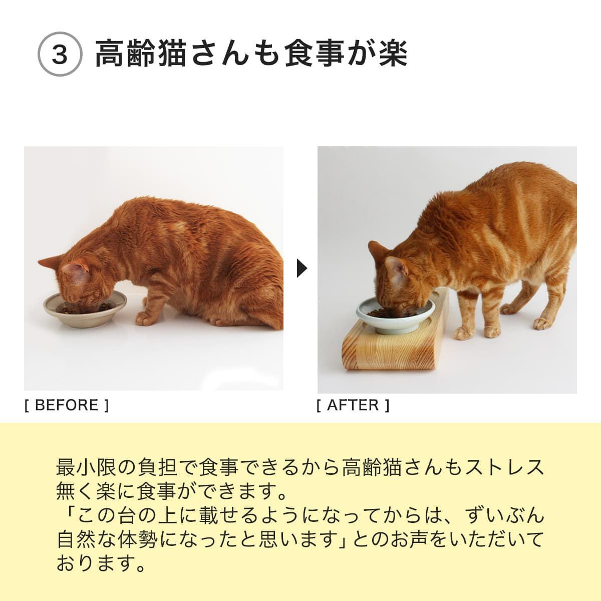 猫ギフトや多頭飼いにお薦め。食器台名入れ -nekozuki