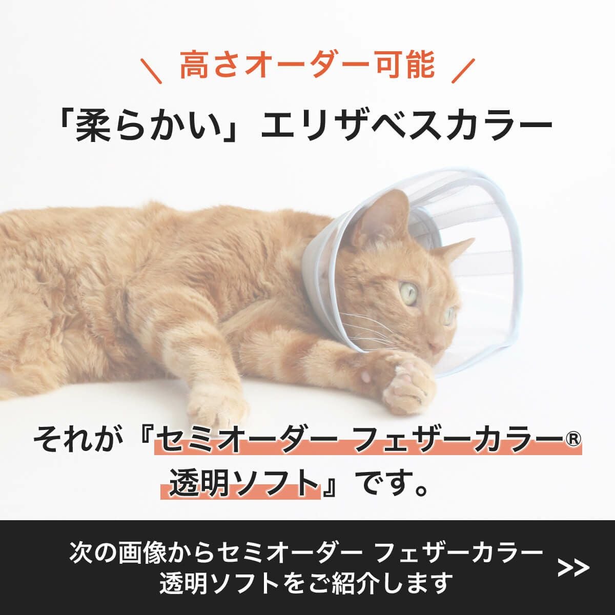 高さオーダー可。獣医推薦 エリザベスカラー・透明ソフト