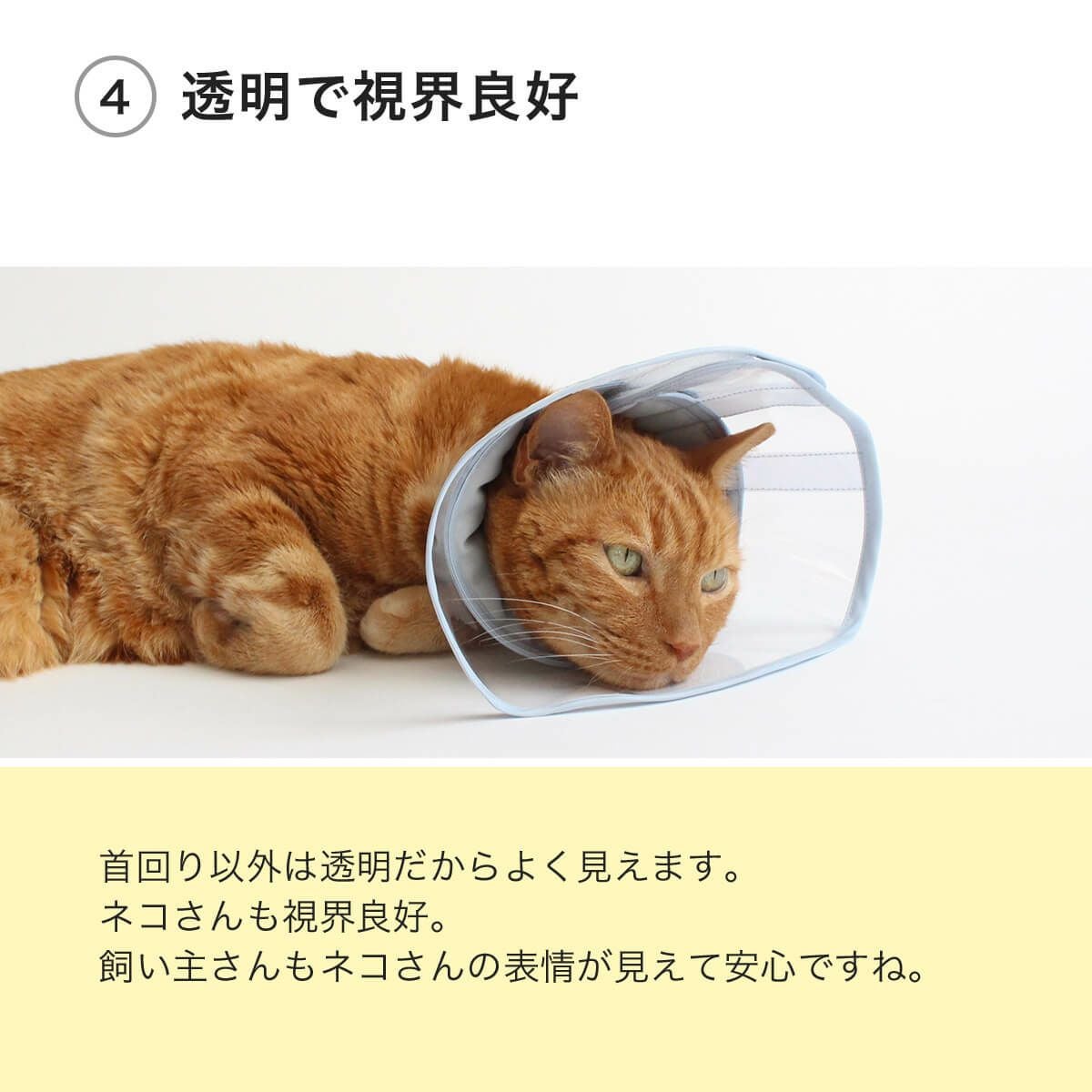 高さオーダー可。獣医推薦 エリザベスカラー・透明ソフト