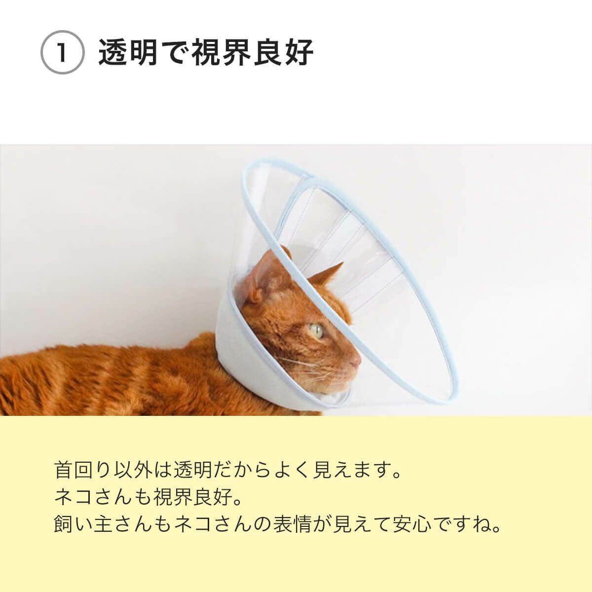 高さオーダー可。獣医推薦 エリザベスカラー・透明ハード