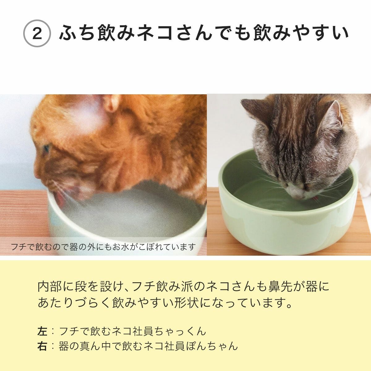 猫が水を飲まない対策に。水飲み陶器ヘルスウォーターにゃんマグ