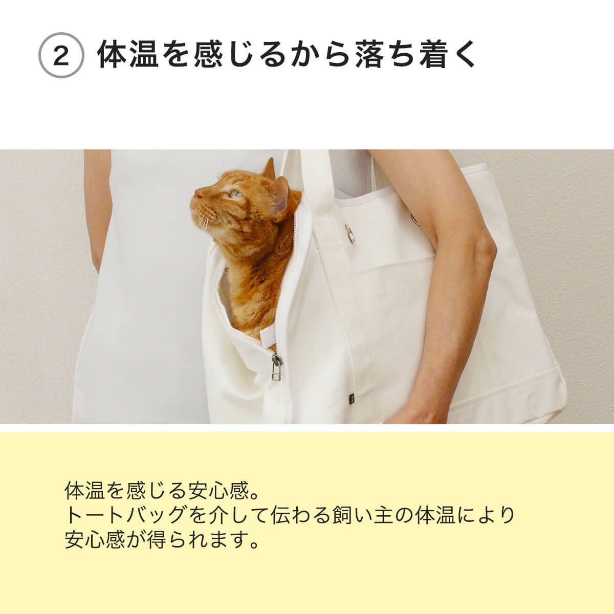 キャリーバッグを嫌がる猫におすすめ。ねこずきなトート キャリーバッグを嫌がる猫におすすめ。ねこずきなトート