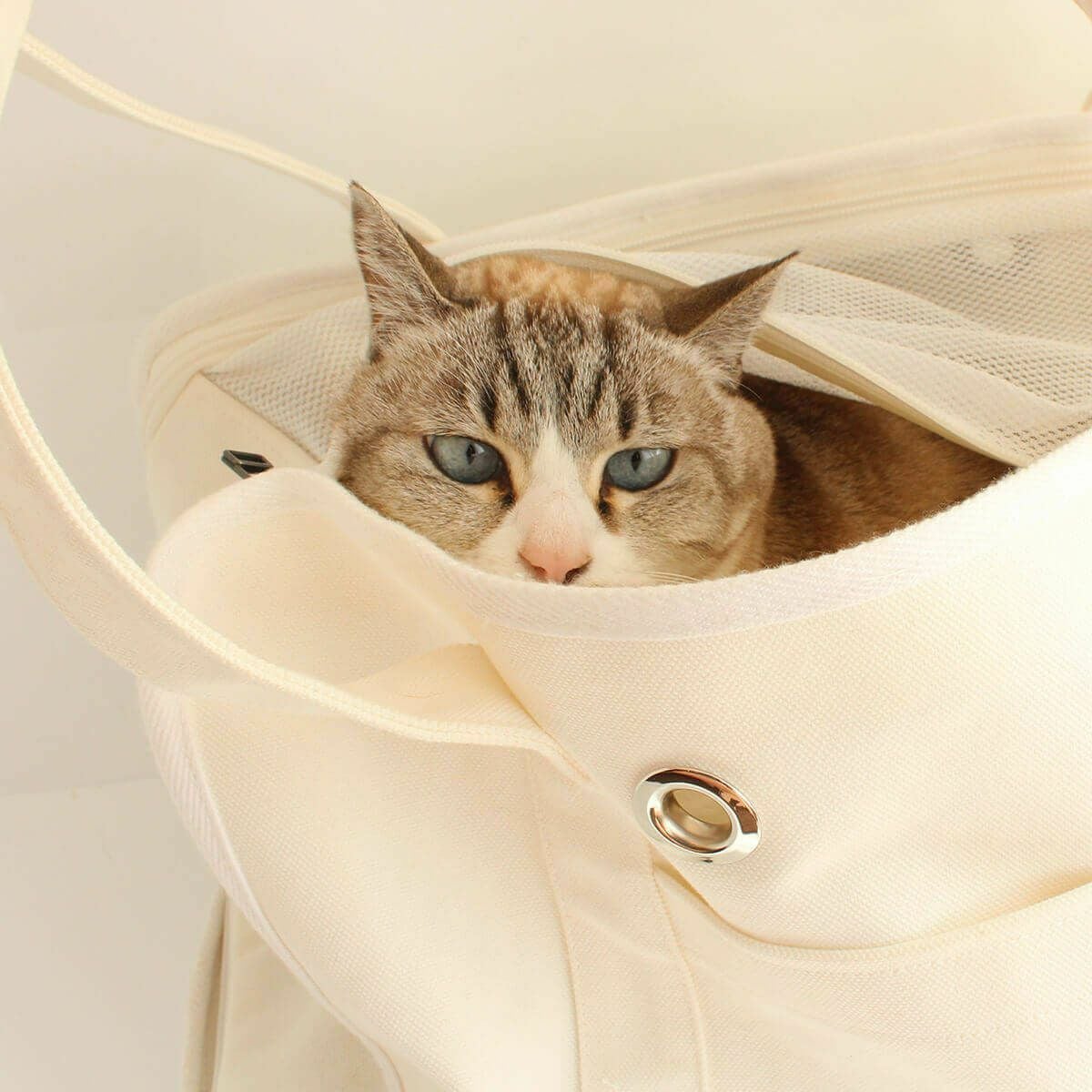 キャリーバッグを嫌がる猫におすすめ。ねこずきなトート キャリーバッグを嫌がる猫におすすめ。ねこずきなトート