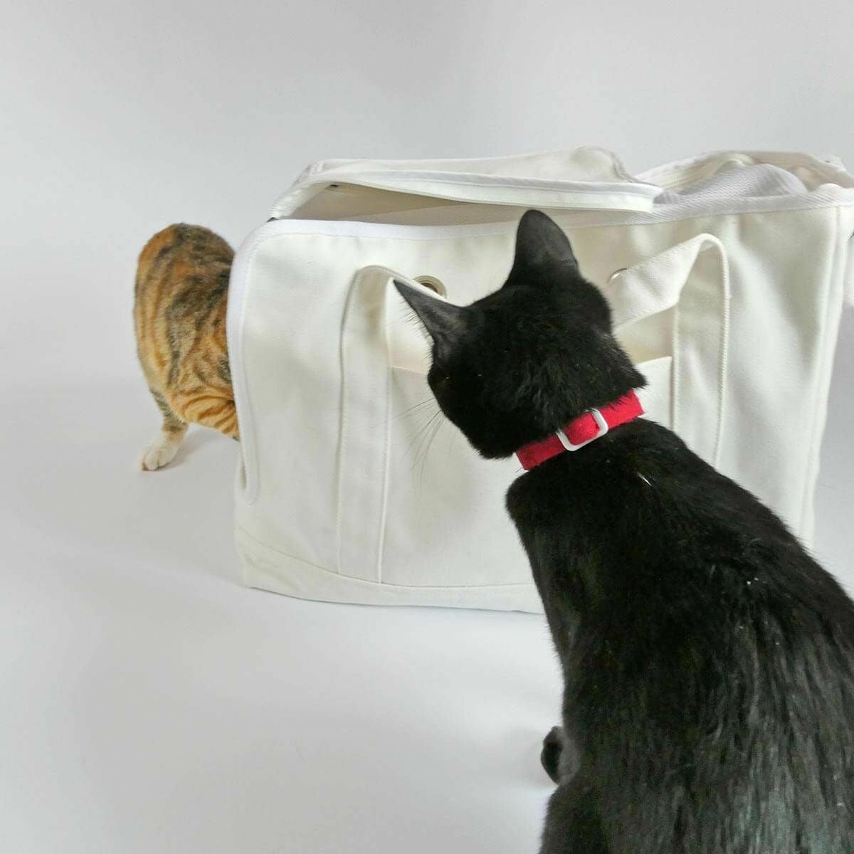 キャリーバッグを嫌がる猫におすすめ。ねこずきなトート キャリーバッグを嫌がる猫におすすめ。ねこずきなトート