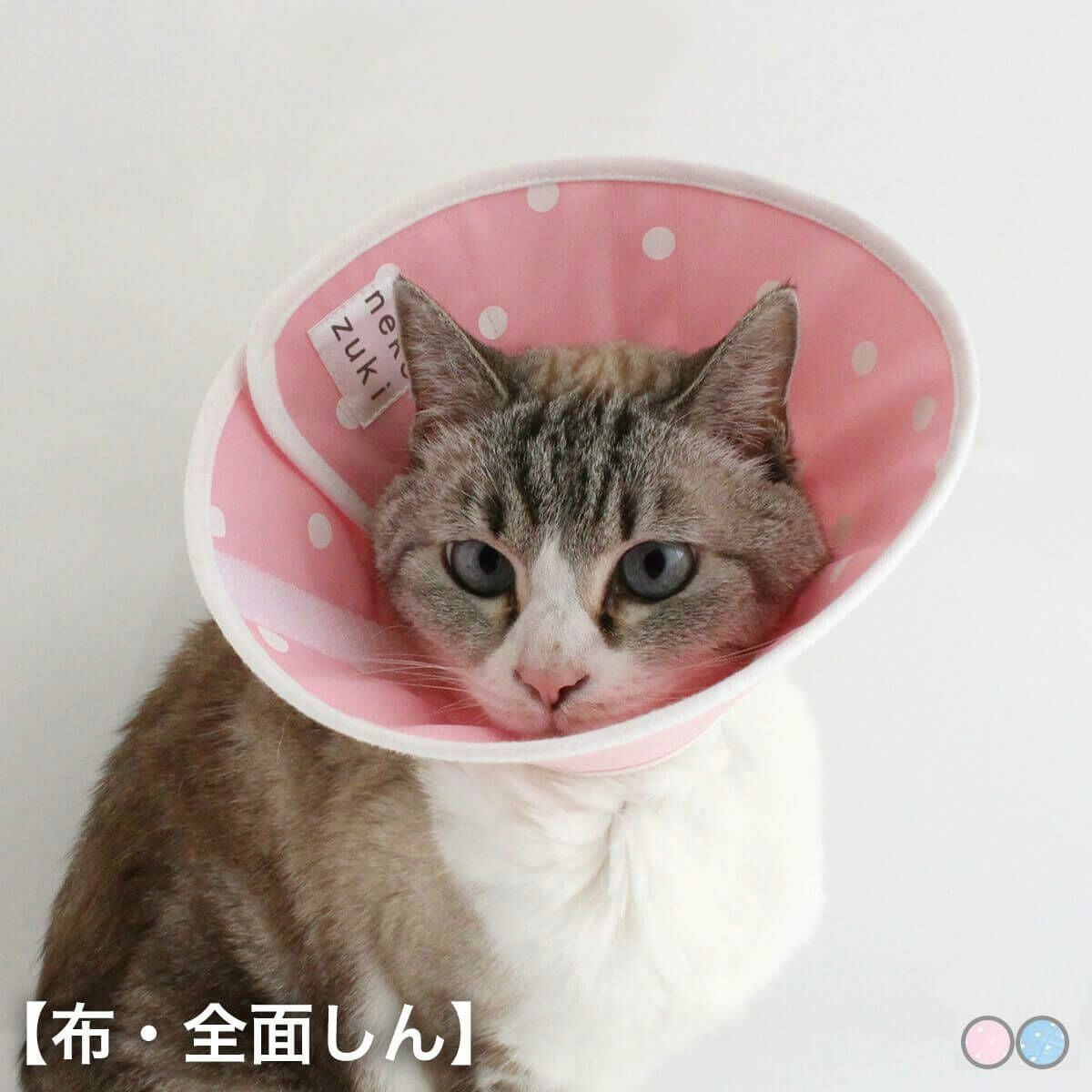 フェザーカラー 布・全面しん