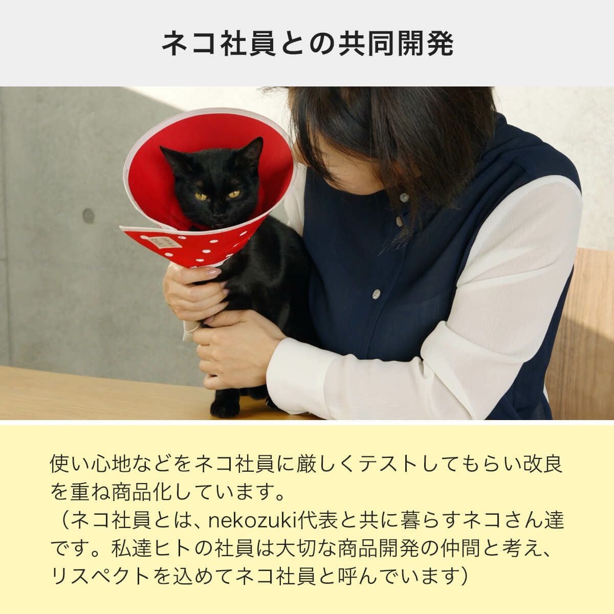 獣医おすすめ 患部保護の猫エリザベスカラー・布全面しん