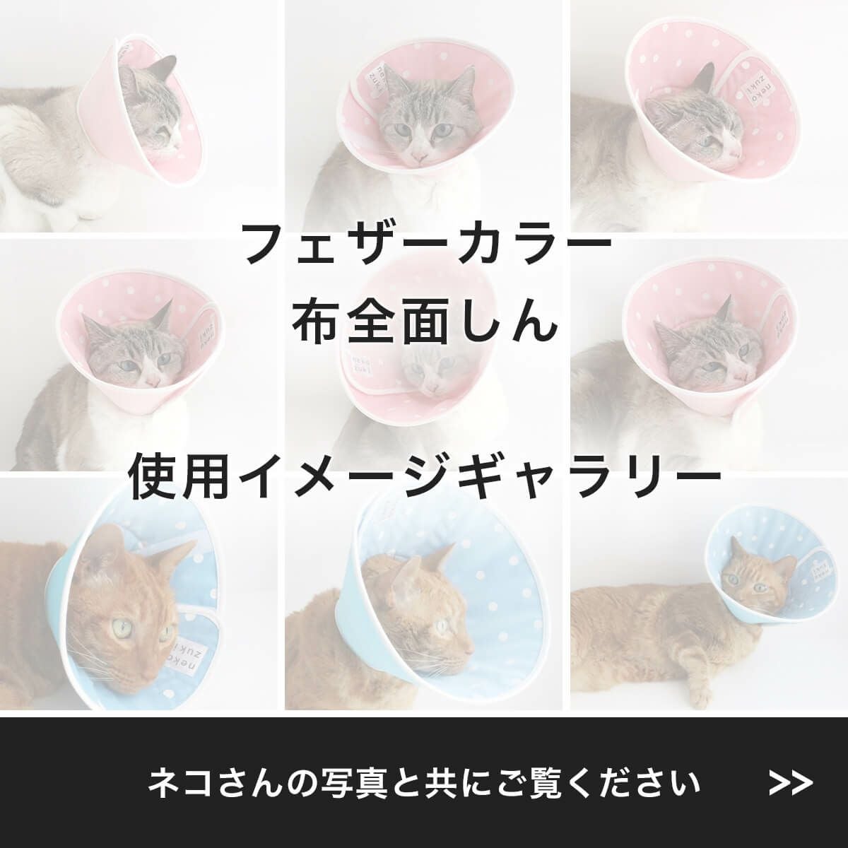 獣医おすすめ 患部保護の猫エリザベスカラー・布全面しん