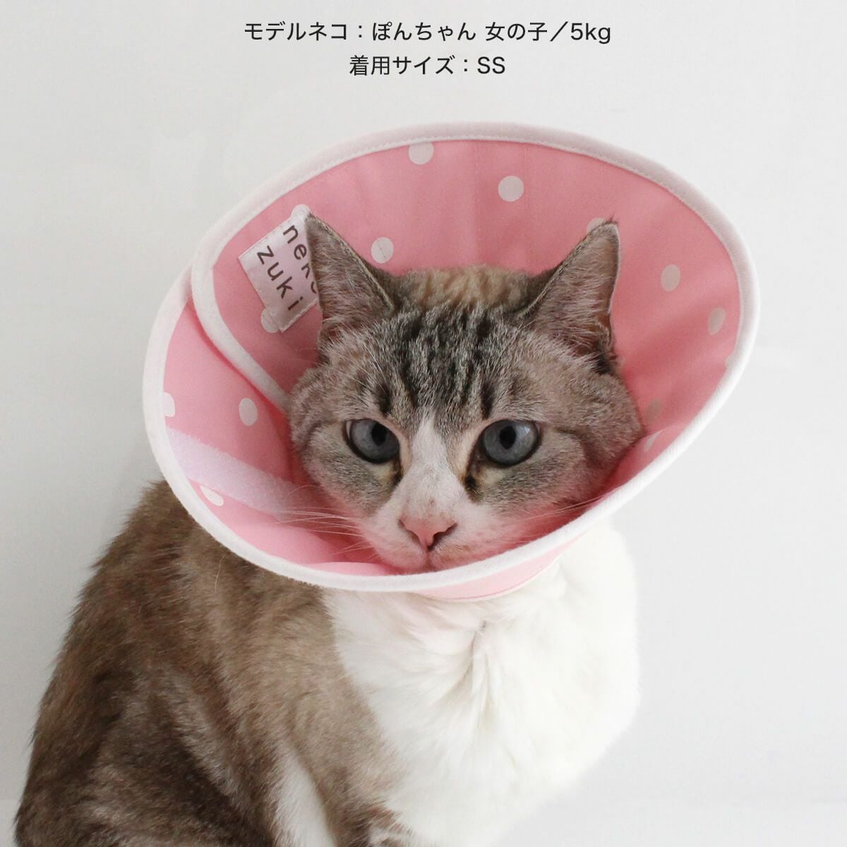 000000001957-21.jpg?size=l&w=