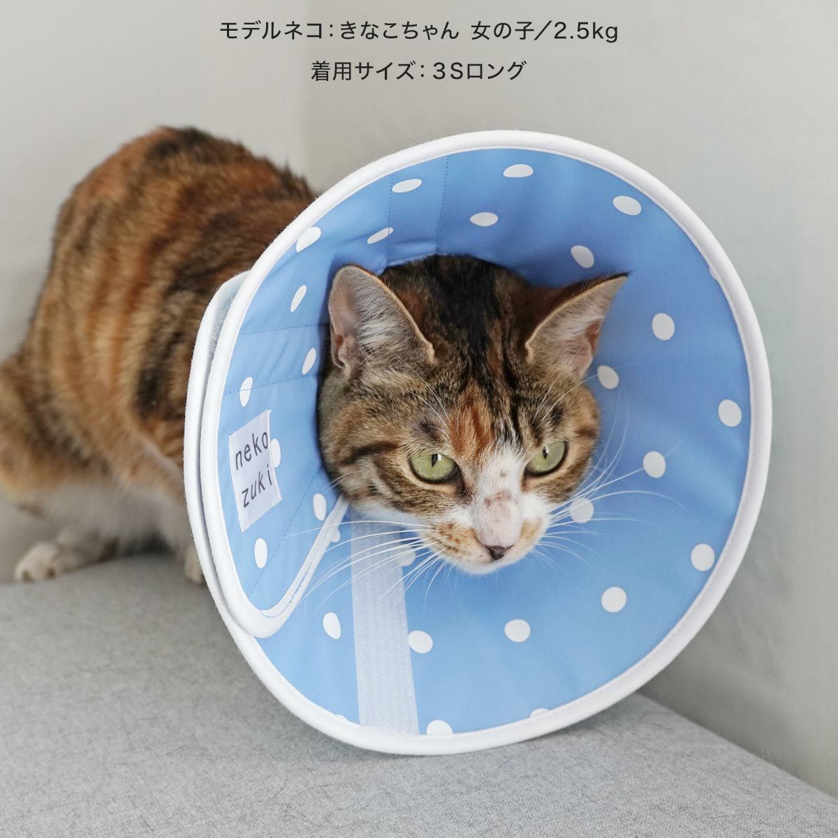 獣医おすすめ 患部保護の猫エリザベスカラー・布全面しん