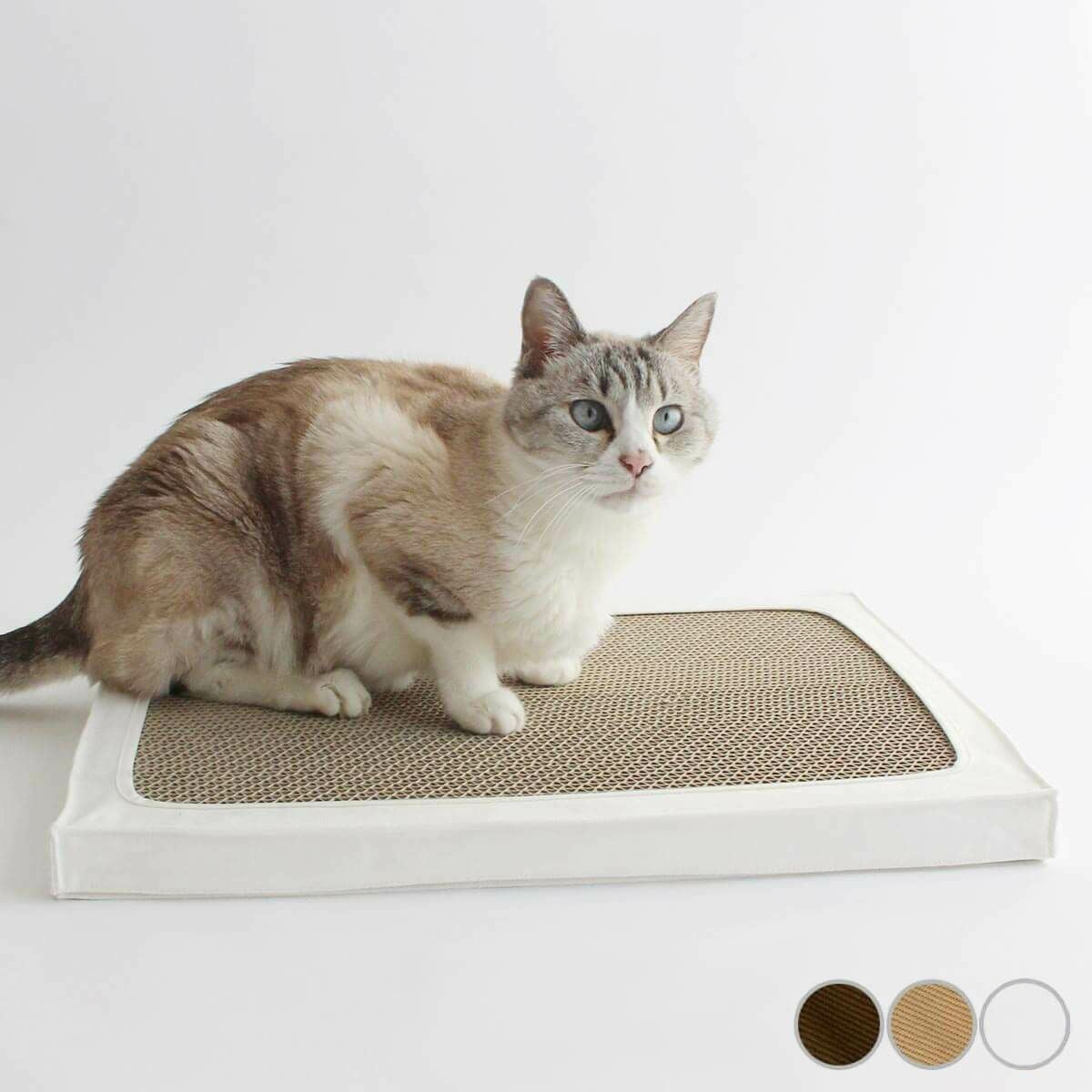 子猫から高齢猫までずっと長く使える、床置きタイプの布製爪とぎケース