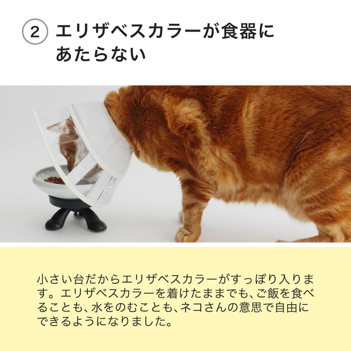 テレビで紹介】猫がエリザベスカラー着用中も食べやすい介護用食器台