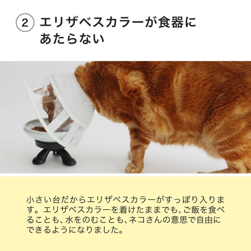 まんま台南部鉄器はエリザベスカラーが食器にあたらない