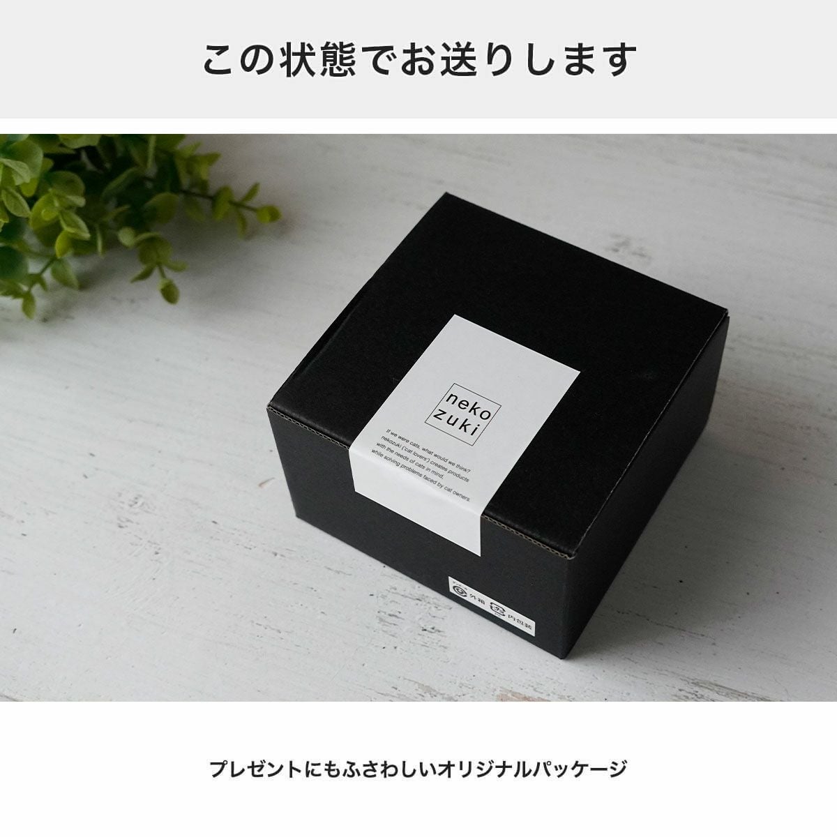 テレビで紹介】猫がエリザベスカラー着用中も食べやすい介護用食器台