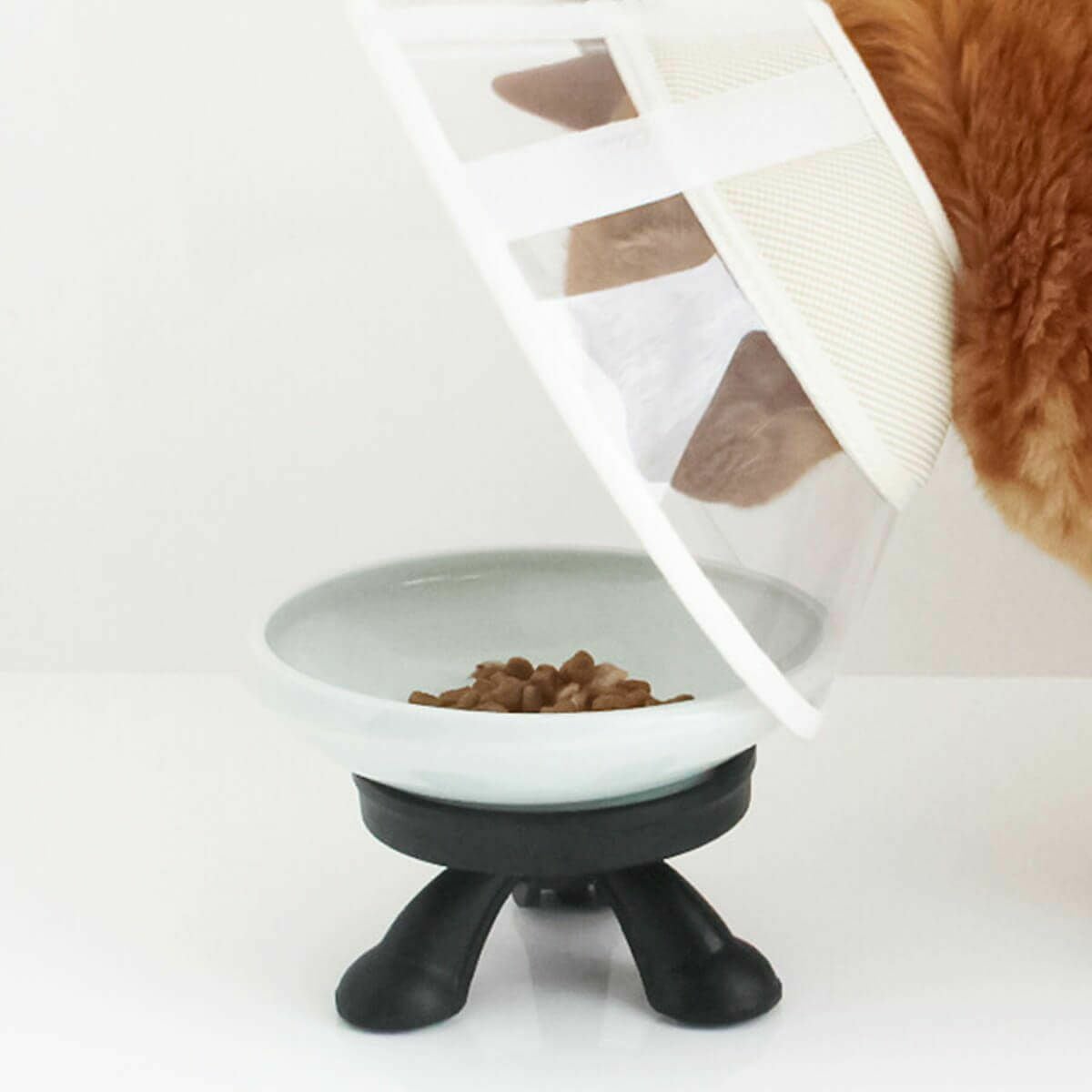 NEKOZUKI 介護用まんま台　旧製品　エリザベスカラー【管理番号:Ne01】 テレビで紹介】猫がエリザベスカラー着用中も食べやすい介護用食器台