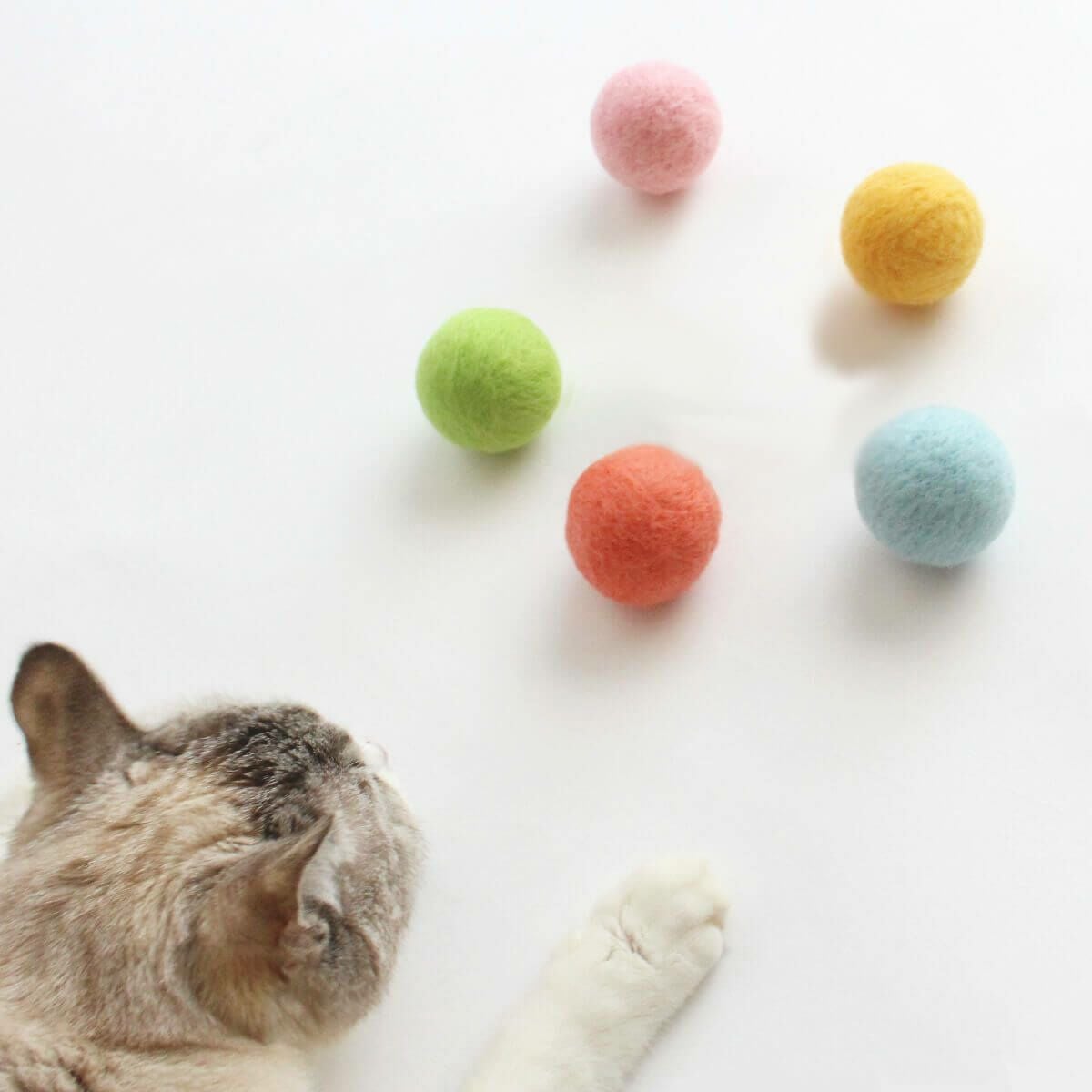 ねこずきころころ LARGE 1個