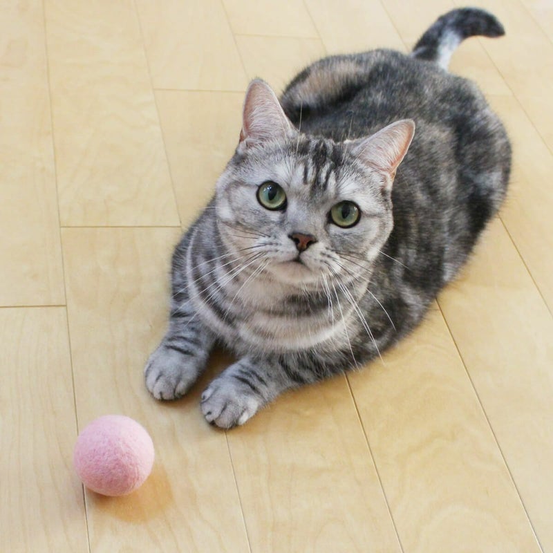 猫さんへのギフトに。猫用おもちゃねこずきころころLARGE