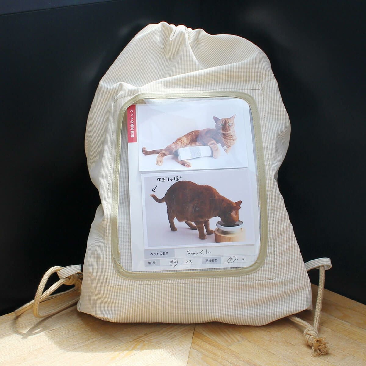 猫さんの秋冬のおすすめグッズ：猫用防災セット（避難グッズ）