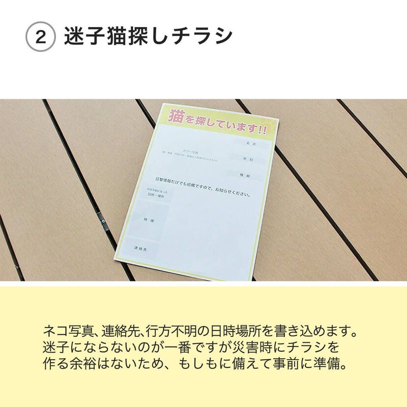 迷子猫探しチラシ