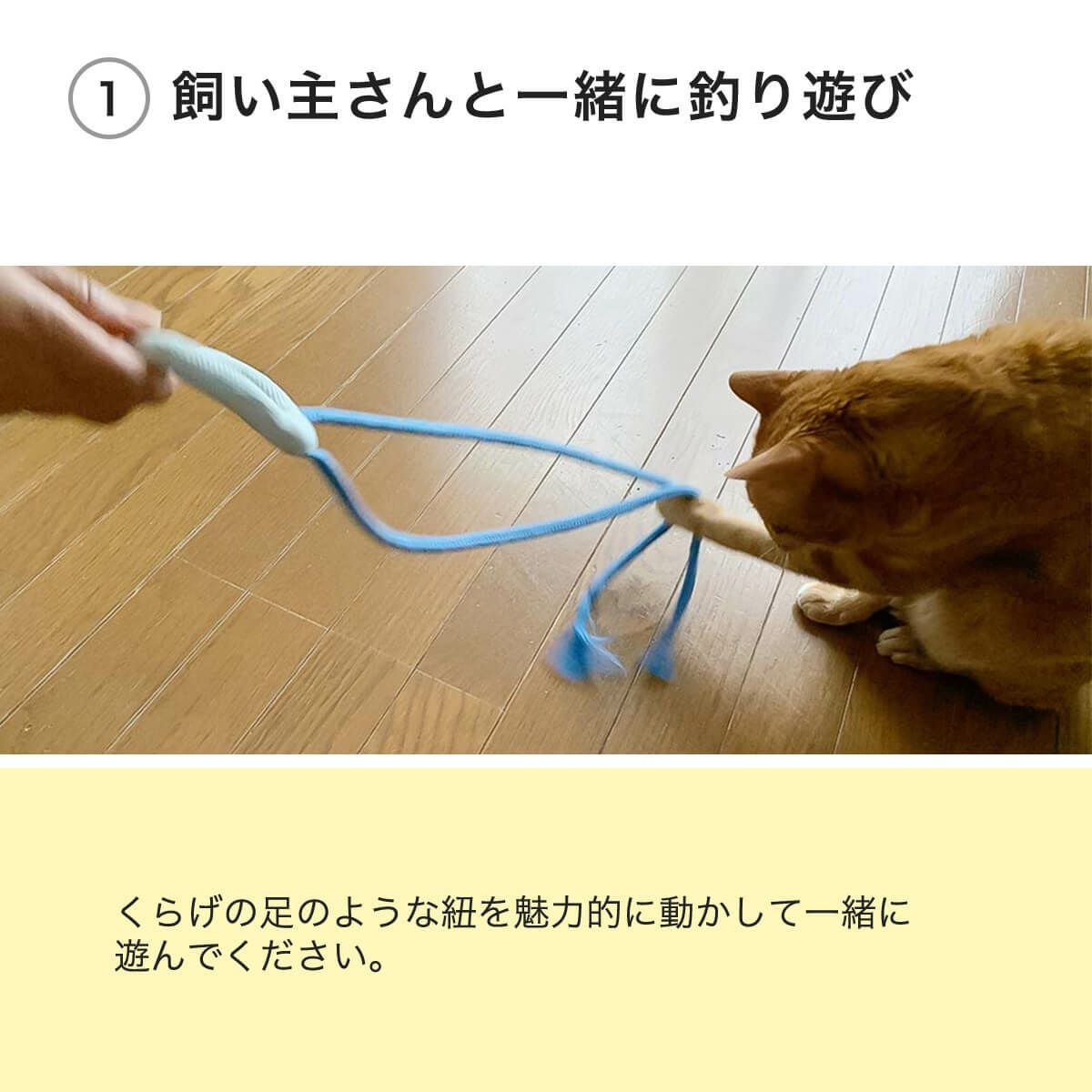 テレビで紹介】猫の安全を考慮したおもちゃ、くらげじゃらしで運動不足解消