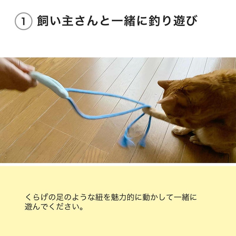 くらげじゃらしは飼い主さんと一緒に釣り遊び