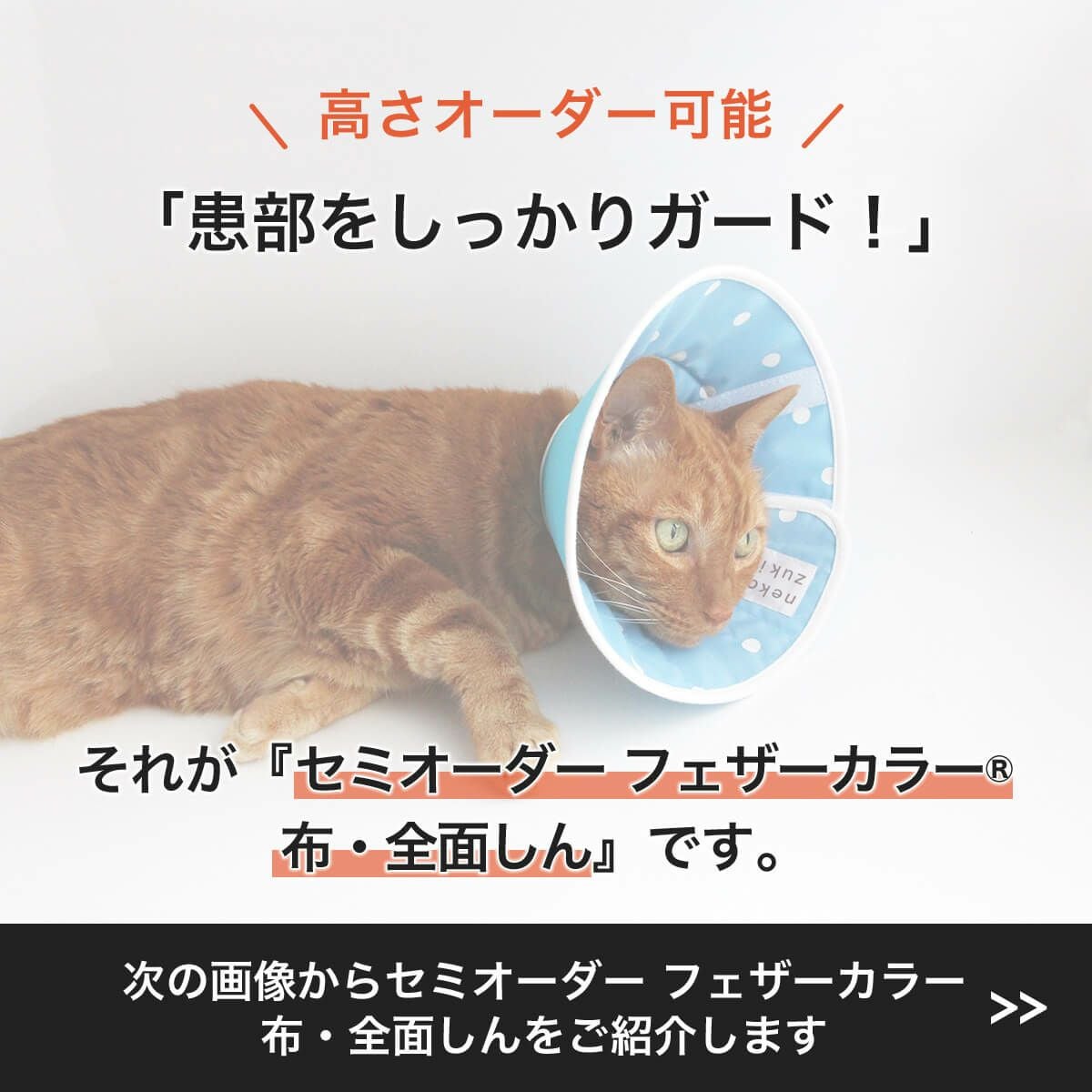 高さオーダー可。獣医推薦 エリザベスカラー・布全面しん