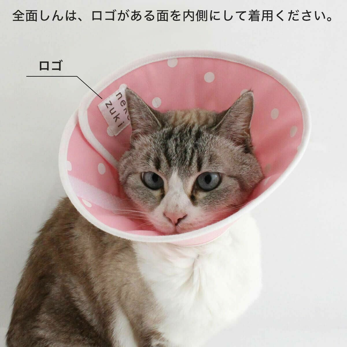 高さオーダー可。獣医推薦 エリザベスカラー・布全面しん