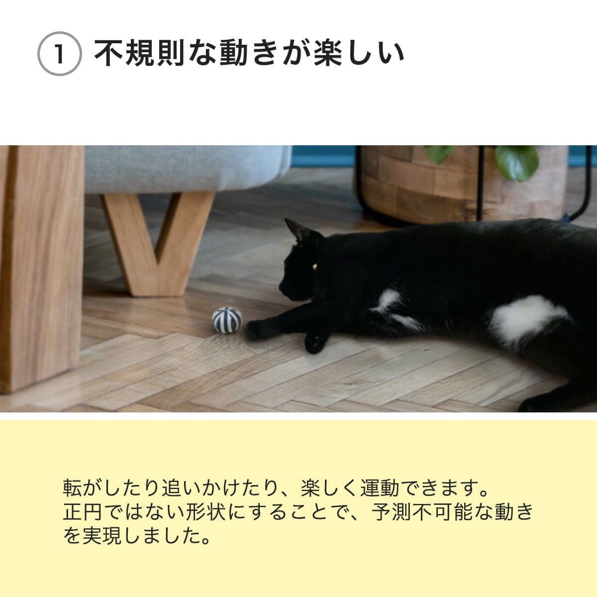 猫のボール遊びにおすすめ！音が鳴る日本製おもちゃ