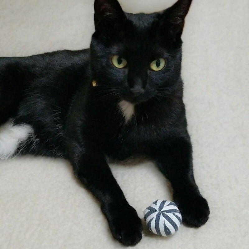 またたび不使用。猫用おもちゃねこずきころころファブリック