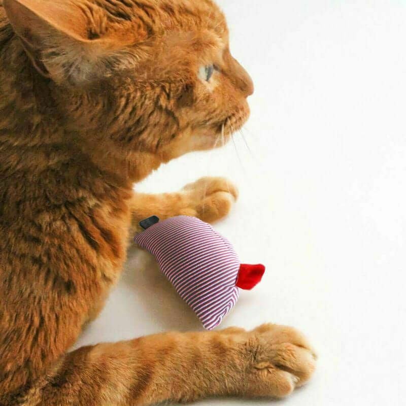 音が鳴る猫おもちゃのねずみ。運動不足解消におすすめ