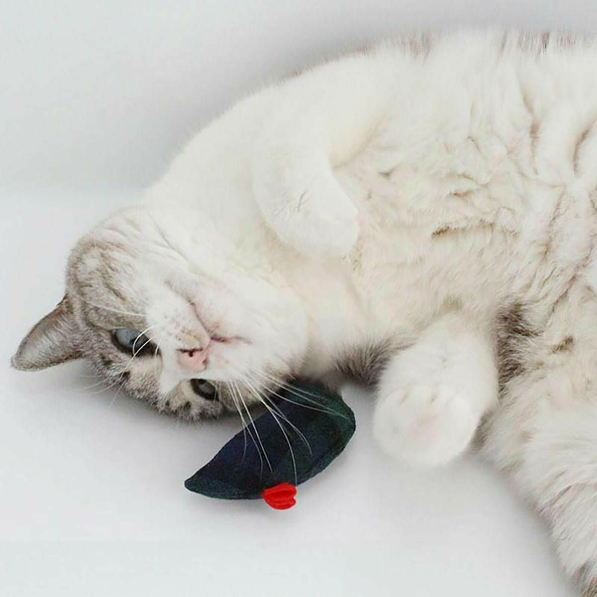 音が鳴る猫おもちゃのねずみ。運動不足解消におすすめ