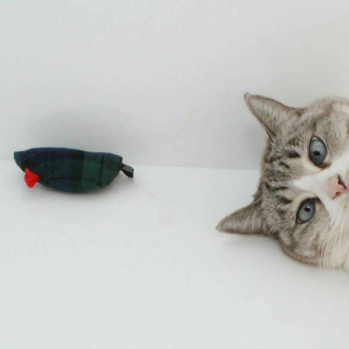 音がなるネズミの猫用おもちゃ。ねこずきねずみ3個セット