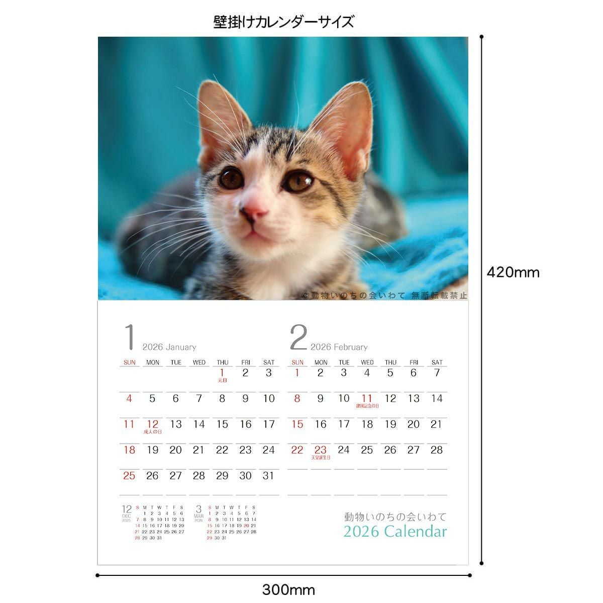 保護猫・保護犬を救う】動物いのちの会いわて 2026カレンダー