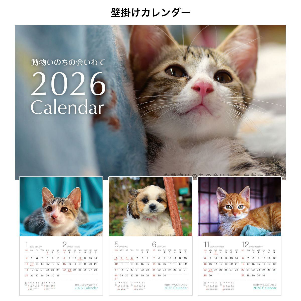 000000002267-05.jpg?size=l&w=