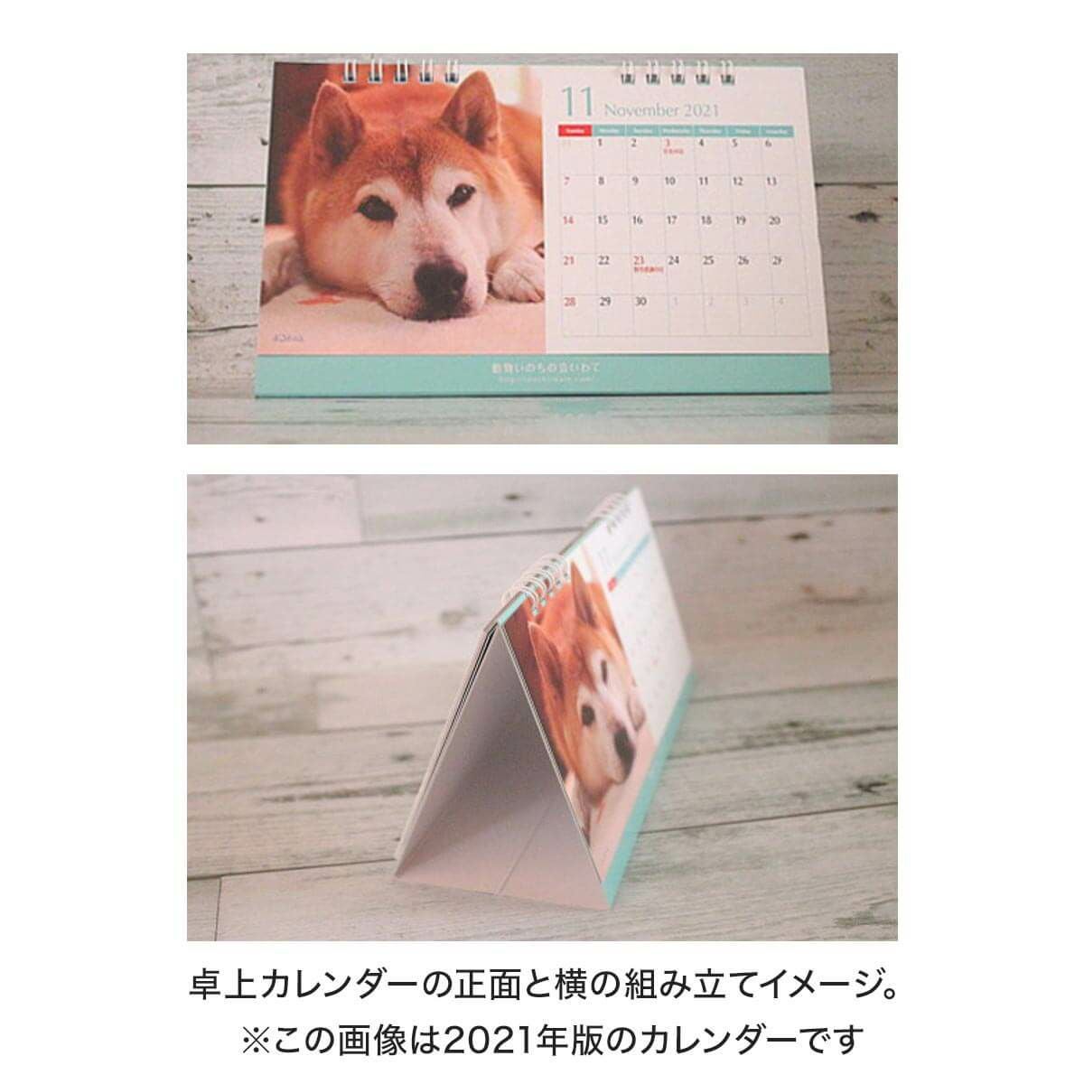 保護猫・保護犬を救う】動物いのちの会いわて 2026カレンダー