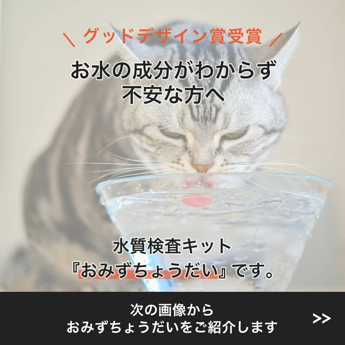 猫の飲み水の硬度・簡易検査キット「おみずちょうだい」