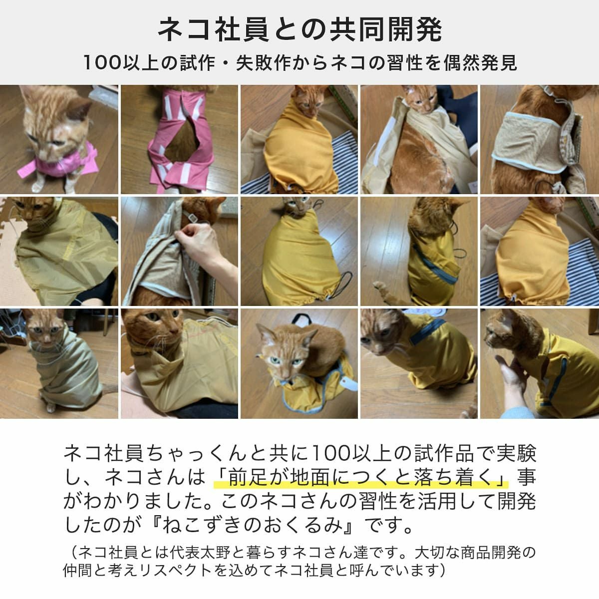ねこずきのおくるみはネコ社員との共同開発