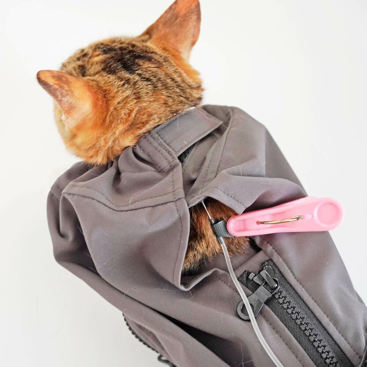 テレビで紹介】猫の保定袋「ねこずきのおくるみ」自宅での皮下点滴を