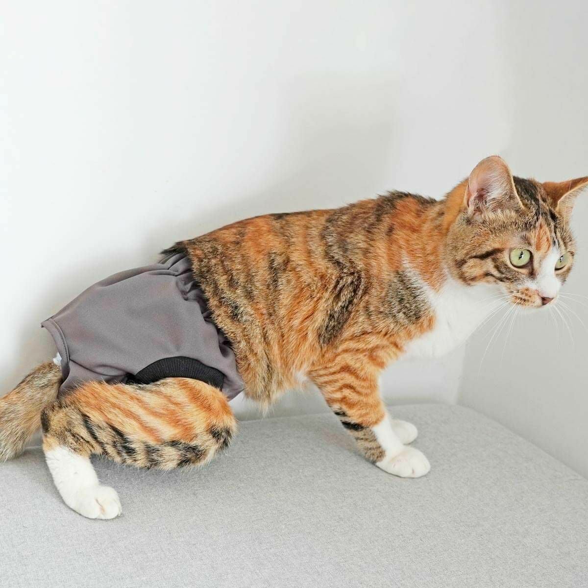 シニア猫ちゃん介護セット 大量まとめ売り 療法食・高栄養食・おむつ類 000000002340-18.jpg?t=