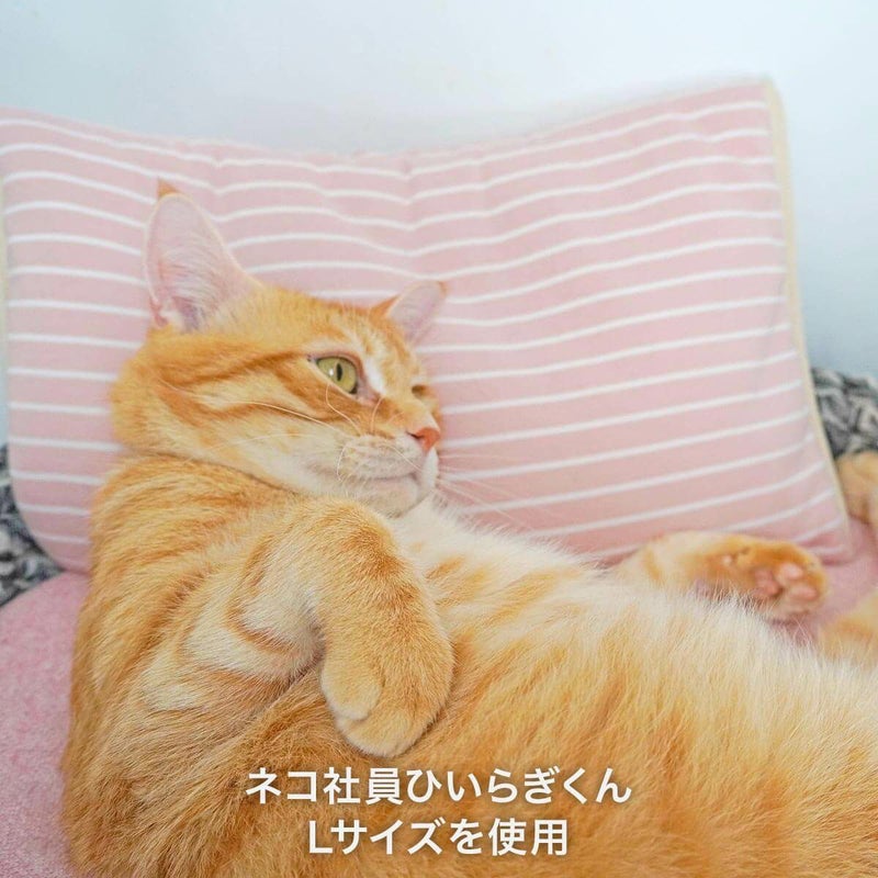 電気を使わない、あったか防寒グッズ。ぽかぽかマットPOCKET