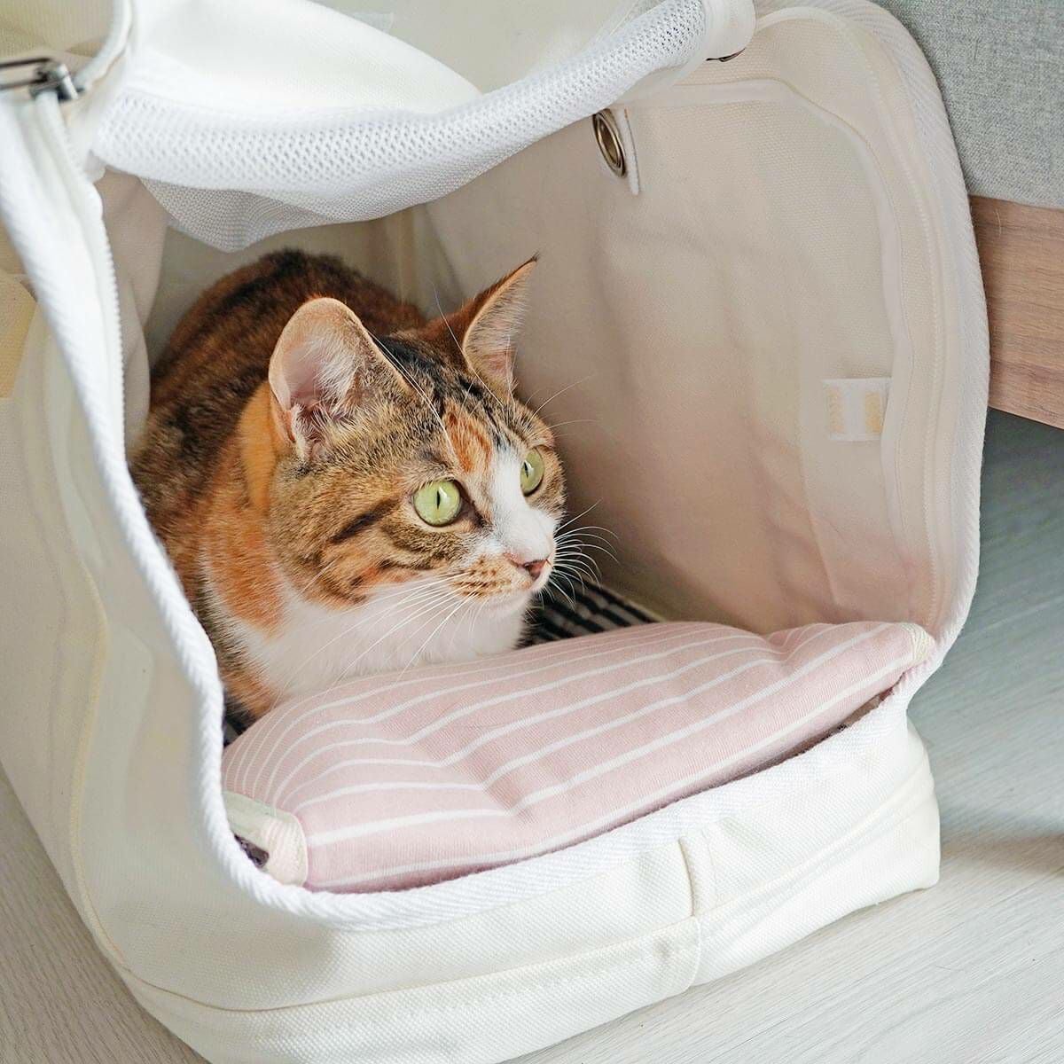 電気を使わない、あったか防寒グッズ。ぽかぽかマットPOCKET