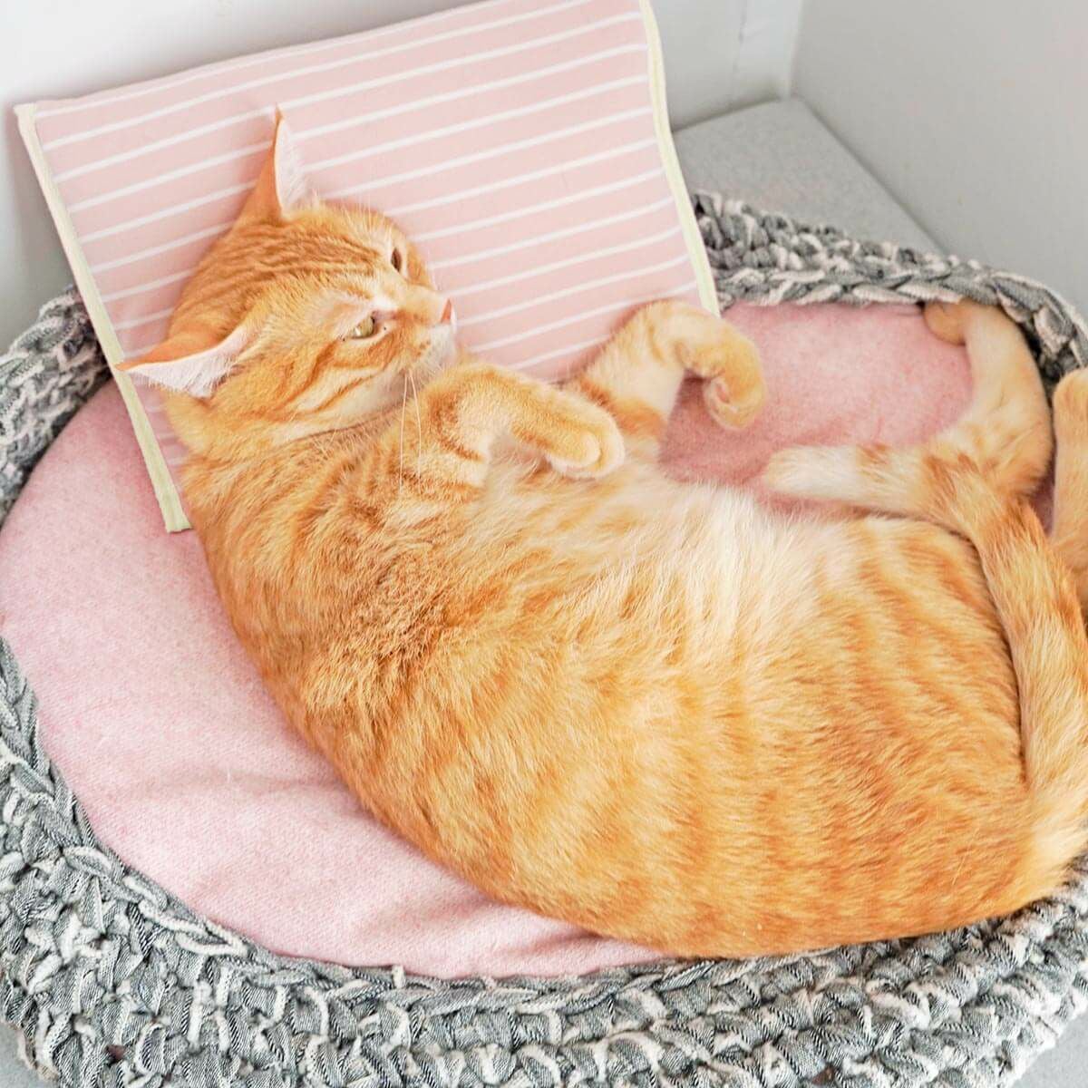 電気を使わない、あったか防寒グッズ。ぽかぽかマットPOCKET