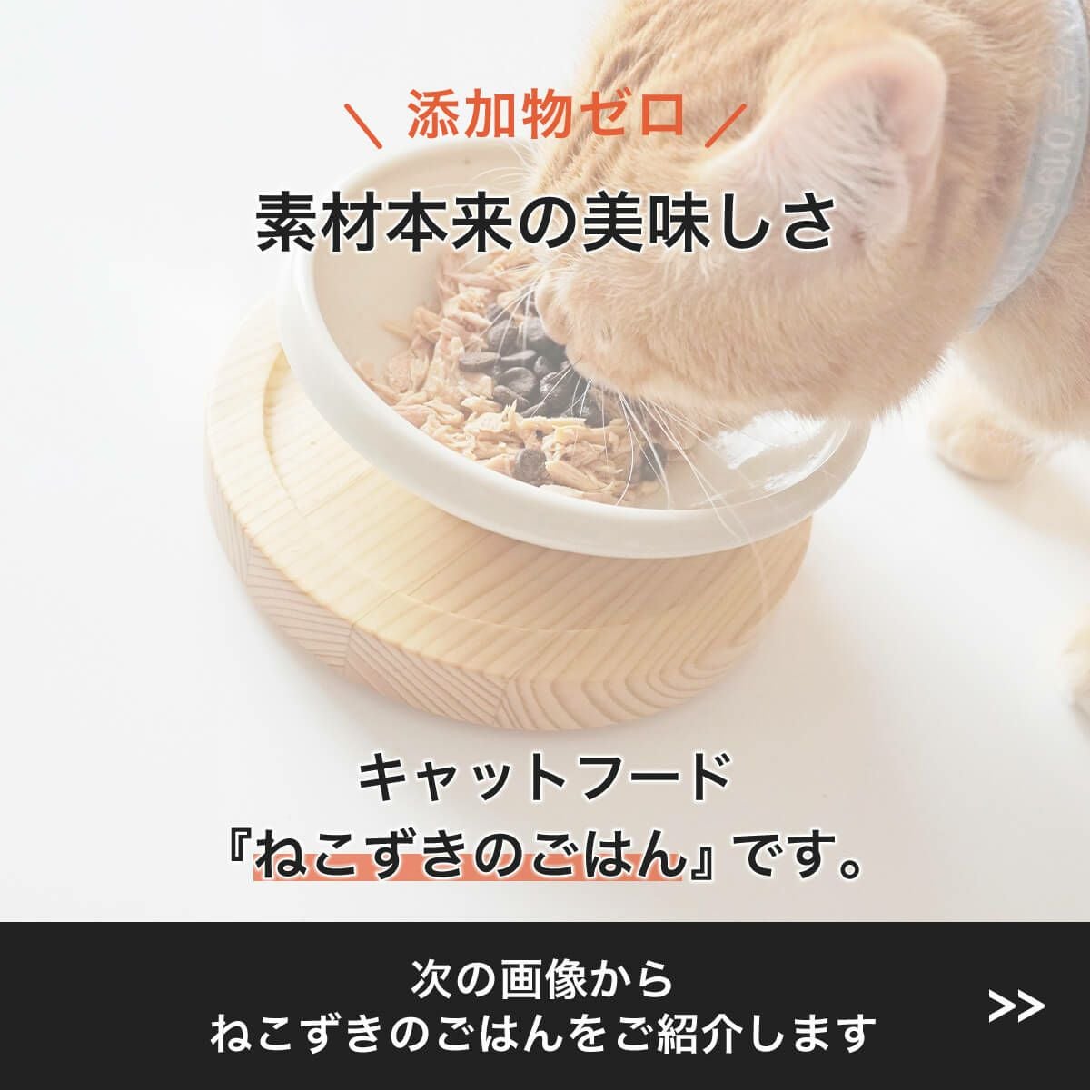 猫 キャットフード 国産 無添加 ねこずきのごはん 80g 缶詰 ウェット