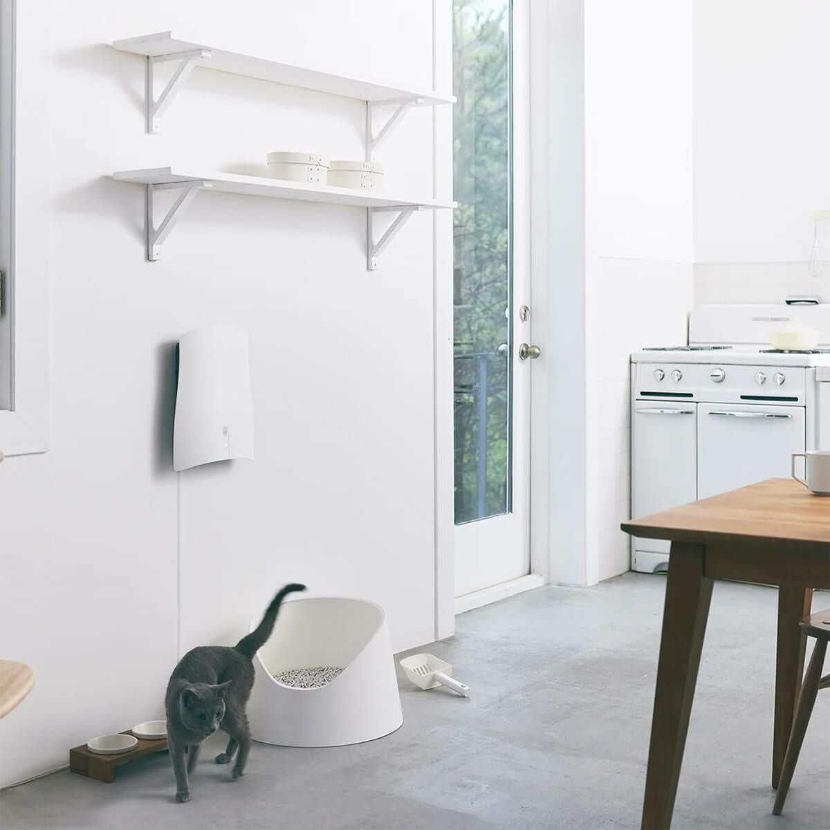 QAIS-air-04A1J ペット専用除菌脱臭機 クワイスエアー 壁掛け型 UV