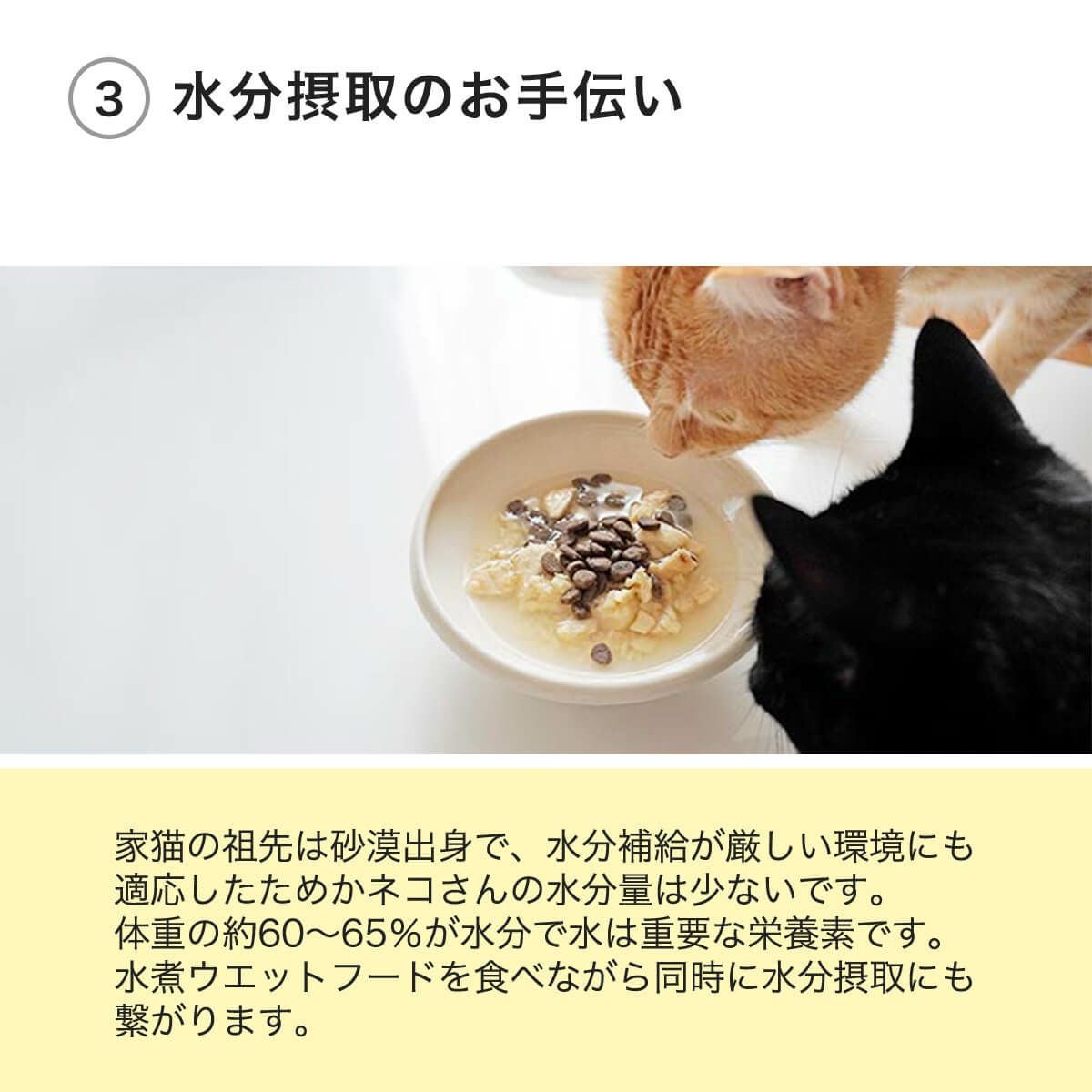 猫 缶詰 ねこずきのごはん 80g×24個セット キャットフード ウェット