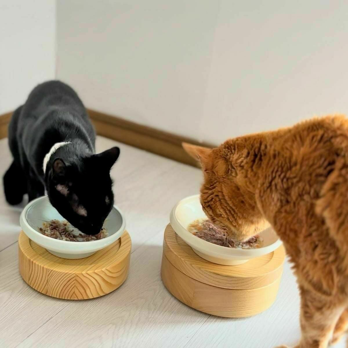 猫 缶詰 ねこずきのごはん 80g×24個セット キャットフード ウェット